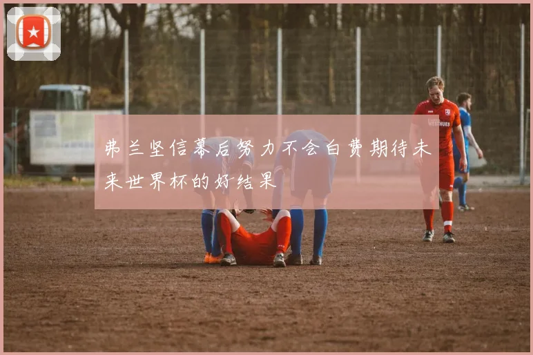 弗兰坚信幕后努力不会白费期待未来世界杯的好结果