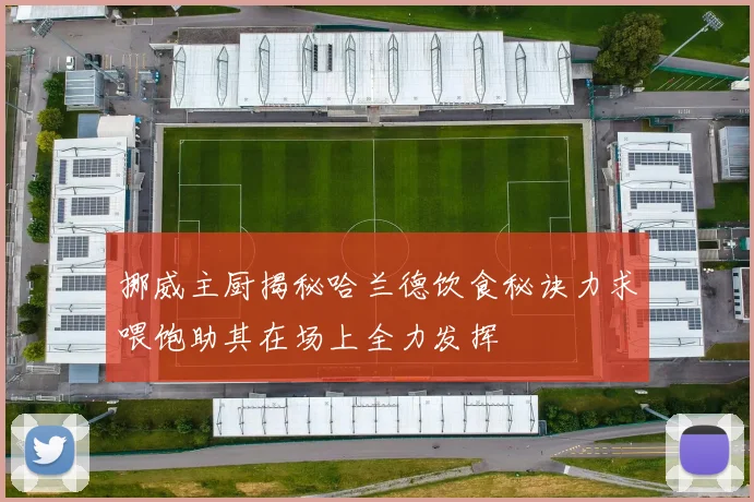 挪威主厨揭秘哈兰德饮食秘诀力求喂饱助其在场上全力发挥
