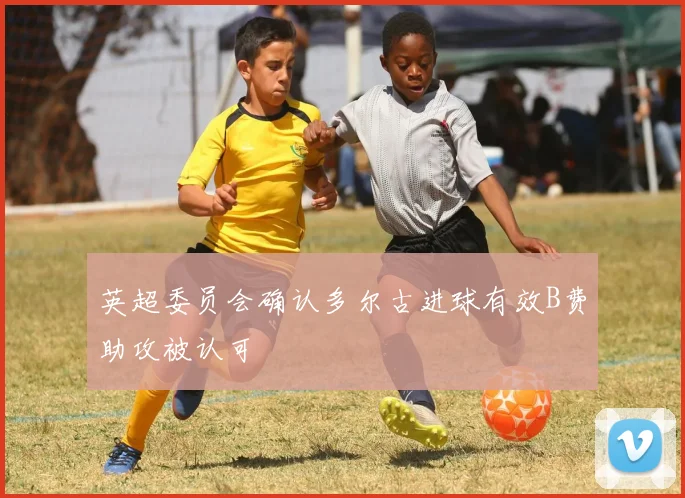 英超委员会确认多尔古进球有效B费助攻被认可