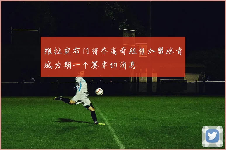 维拉宣布门将乔高奇租借加盟林肯城为期一个赛季的消息