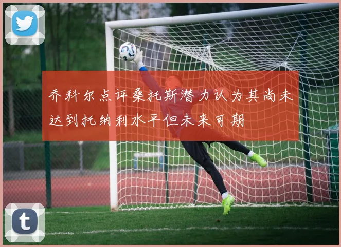 乔科尔点评桑托斯潜力认为其尚未达到托纳利水平但未来可期
